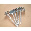 Electric galvanized roofing nail